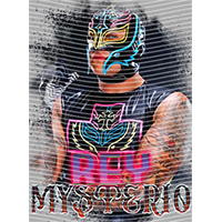 idol singer-GS  2445